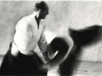 franck noel
