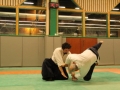 Aikido Cognin Savoie Janvier 2015 (21)