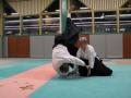 Aikido Cognin Savoie Janvier 2015 (23)