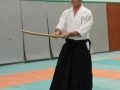 Aikido Cognin Savoie Janvier 2015 (28)