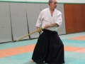 Aikido Cognin Savoie Janvier 2015 (32)