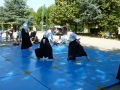 Forum des associations Cognin Aikido 2016 (15)