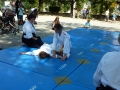 Forum des associations Cognin Aikido 2016 (26)