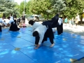 Forum des associations Cognin Aikido 2016 (28)