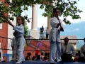 Aikido savoie  fetes de l'enfance (11)