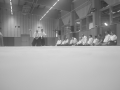 Aikido-Rentree-2024-Cognin61