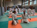 00009Stage-Cognin-6-novembre-2022-aikido-cognin-scaled