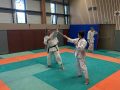 00029Stage-Cognin-6-novembre-2022-aikido-cognin-scaled