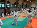 00039Stage-Cognin-6-novembre-2022-aikido-cognin-scaled