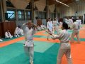 00040Stage-Cognin-6-novembre-2022-aikido-cognin-scaled