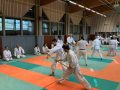 00042Stage-Cognin-6-novembre-2022-aikido-cognin-scaled