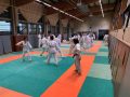 00087Stage-Cognin-6-novembre-2022-aikido-cognin-scaled