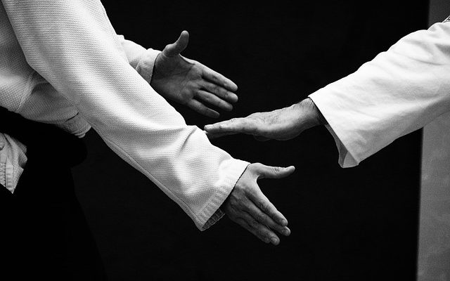 aikido-cognin